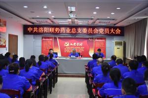 洛陽順勢藥業(yè)有限公司黨總支召開黨員大會 會議選舉產生新一屆總支委員會